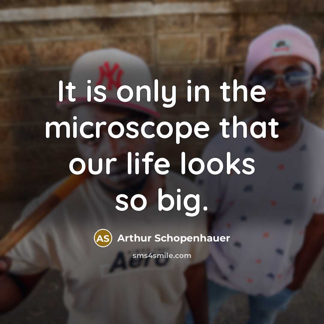 “It is only in the microscope that our life looks so big.” quote by Arthur Schopenhauer