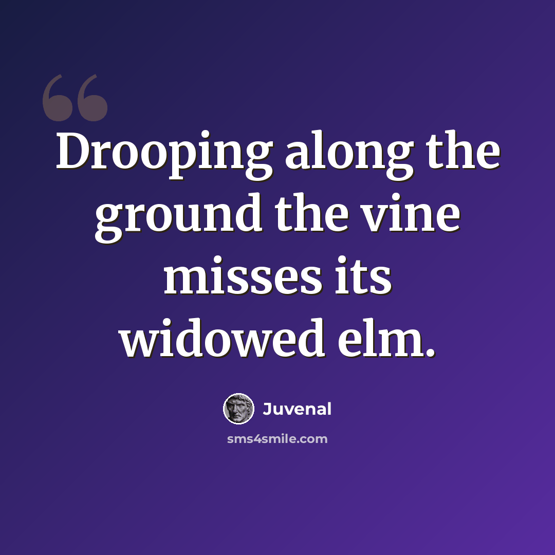 “Drooping along the ground the vine misses its widowed elm.” quote by Juvenal