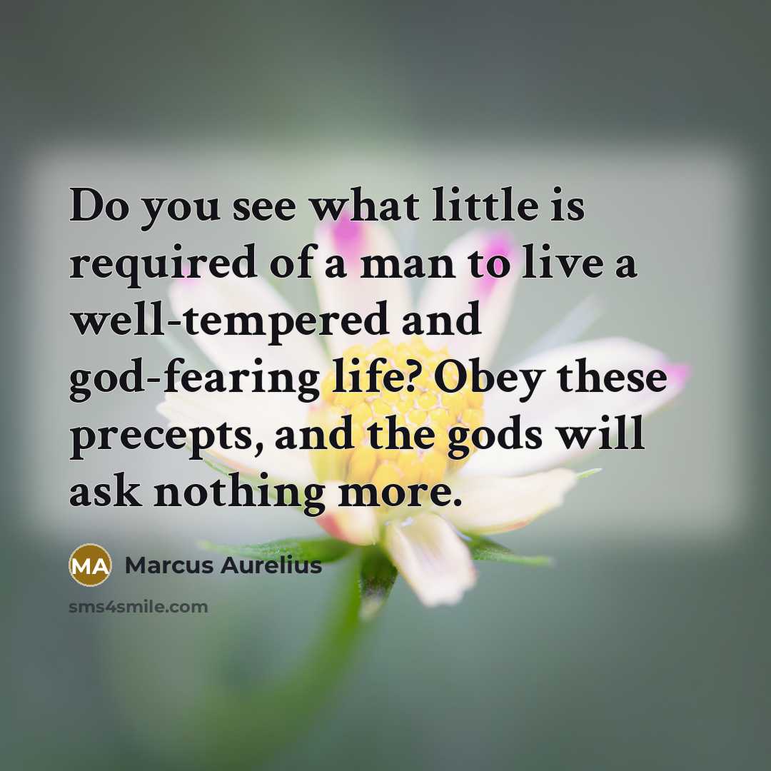 “Do you see what little is required of a man to live a well-tempered and god-fearing life? Obey these precepts, and the gods will ask nothing more.” quote by Marcus Aurelius