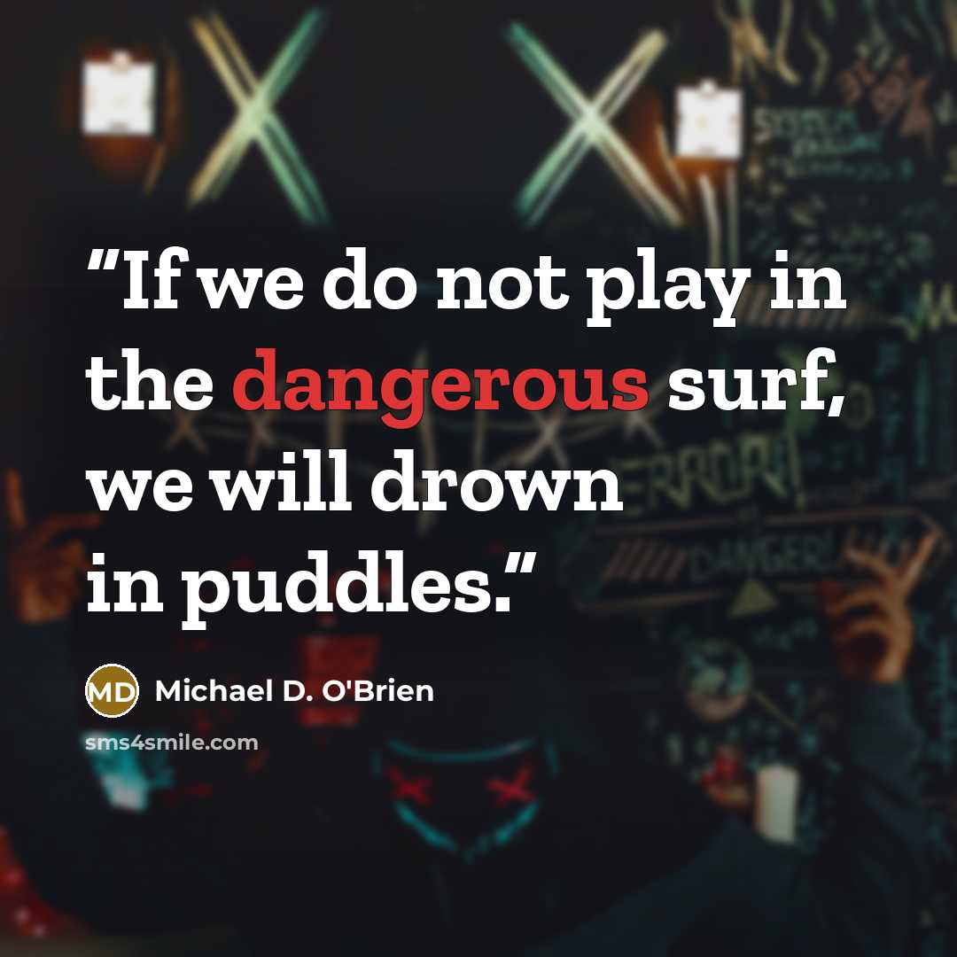 “If we do not play in the dangerous surf, we will drown in puddles.” quote by Michael D. O'Brien