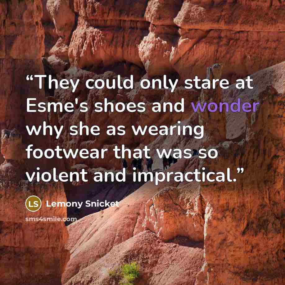 “They could only stare at Esme's shoes and wonder why she as wearing footwear that was so violent and impractical.” quote by Lemony Snicket