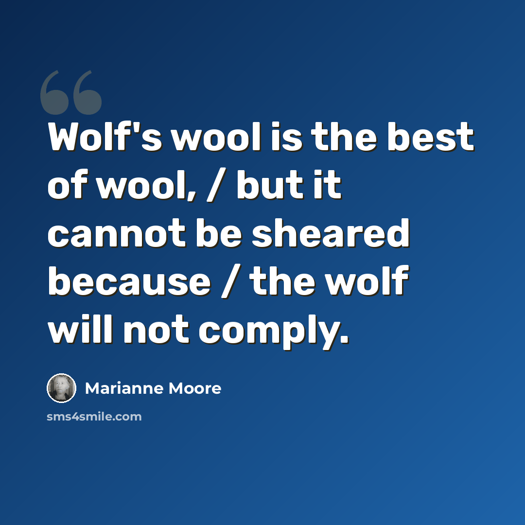 “Wolf's wool is the best of wool, / but it cannot be sheared because / the wolf will not comply.” quote by Marianne Moore