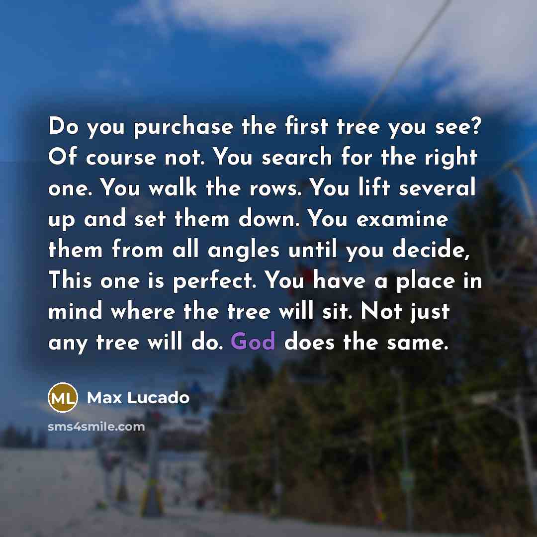 “Do you purchase the first tree you see? Of course not. You search for the right one. You walk the rows. You lift several up and set them down. You examine them from all angles until you decide, This one is perfect. You have a place in mind where the tree will sit. Not just any tree will do. God…” quote by Max Lucado
