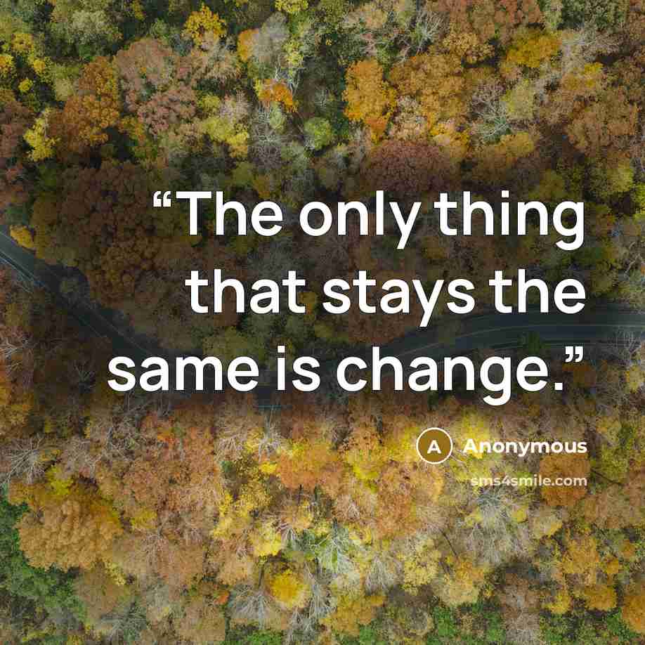 “The only thing that stays the same is change.” quote by Anonymous
