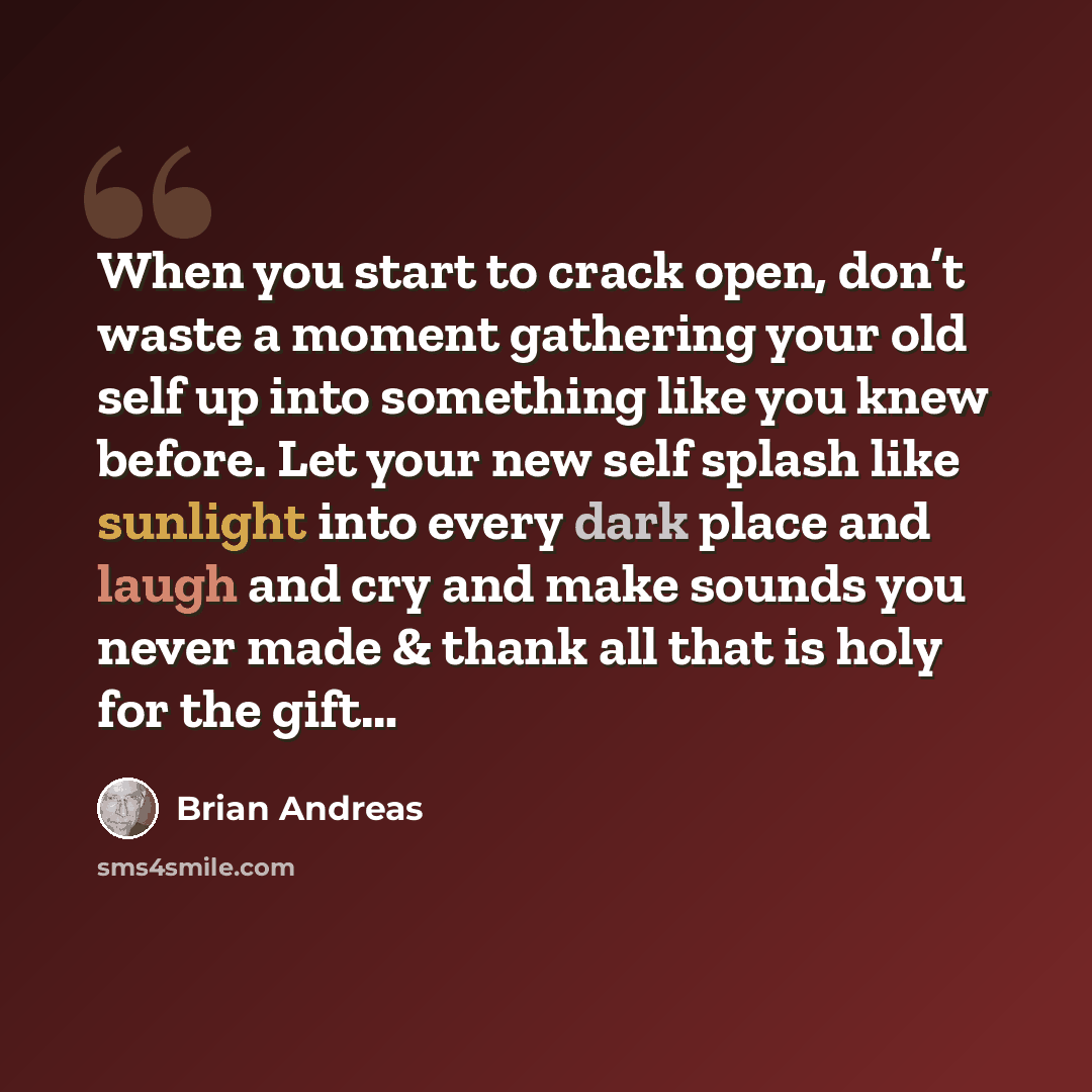 “When you start to crack open, don’t waste a moment gathering your old self up into something like you knew before. Let your new self splash like sunlight into every dark place and laugh and cry and make sounds you never made & thank all that is holy for the gift…” quote by Brian Andreas
