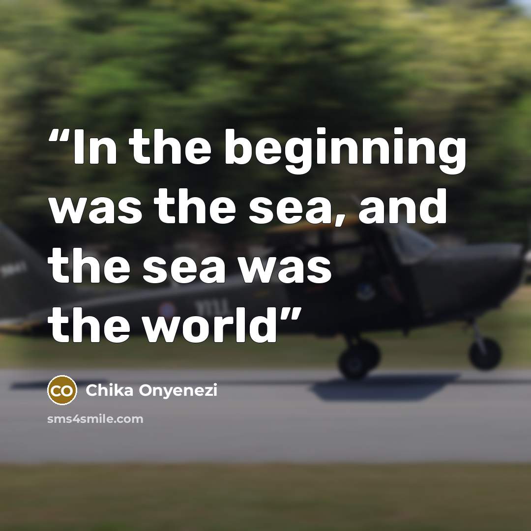 “In the beginning was the sea, and the sea was the world” quote by Chika Onyenezi