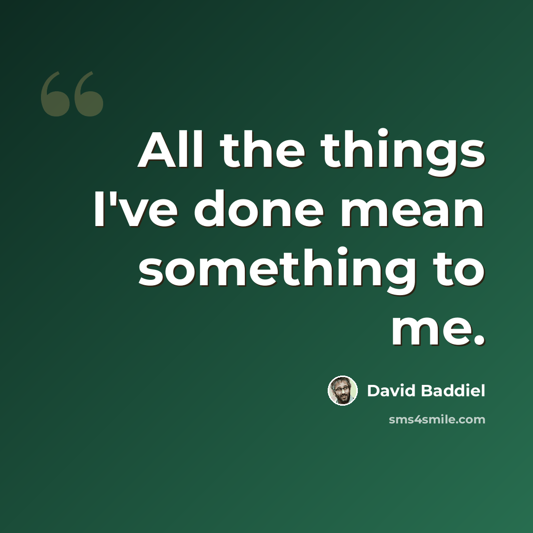 “All the things I've done mean something to me.” quote by David Baddiel