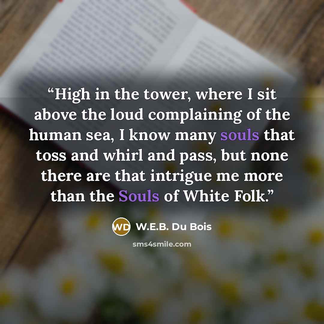 “High in the tower, where I sit above the loud complaining of the human sea, I know many souls that toss and whirl and pass, but none there are that intrigue me more than the Souls of White Folk.” quote by W.E.B. Du Bois