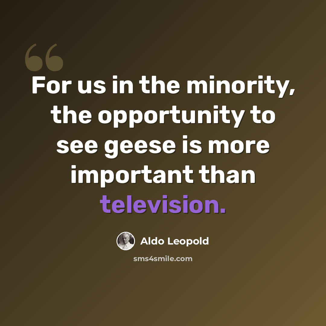 “For us in the minority, the opportunity to see geese is more important than television.” quote by Aldo Leopold