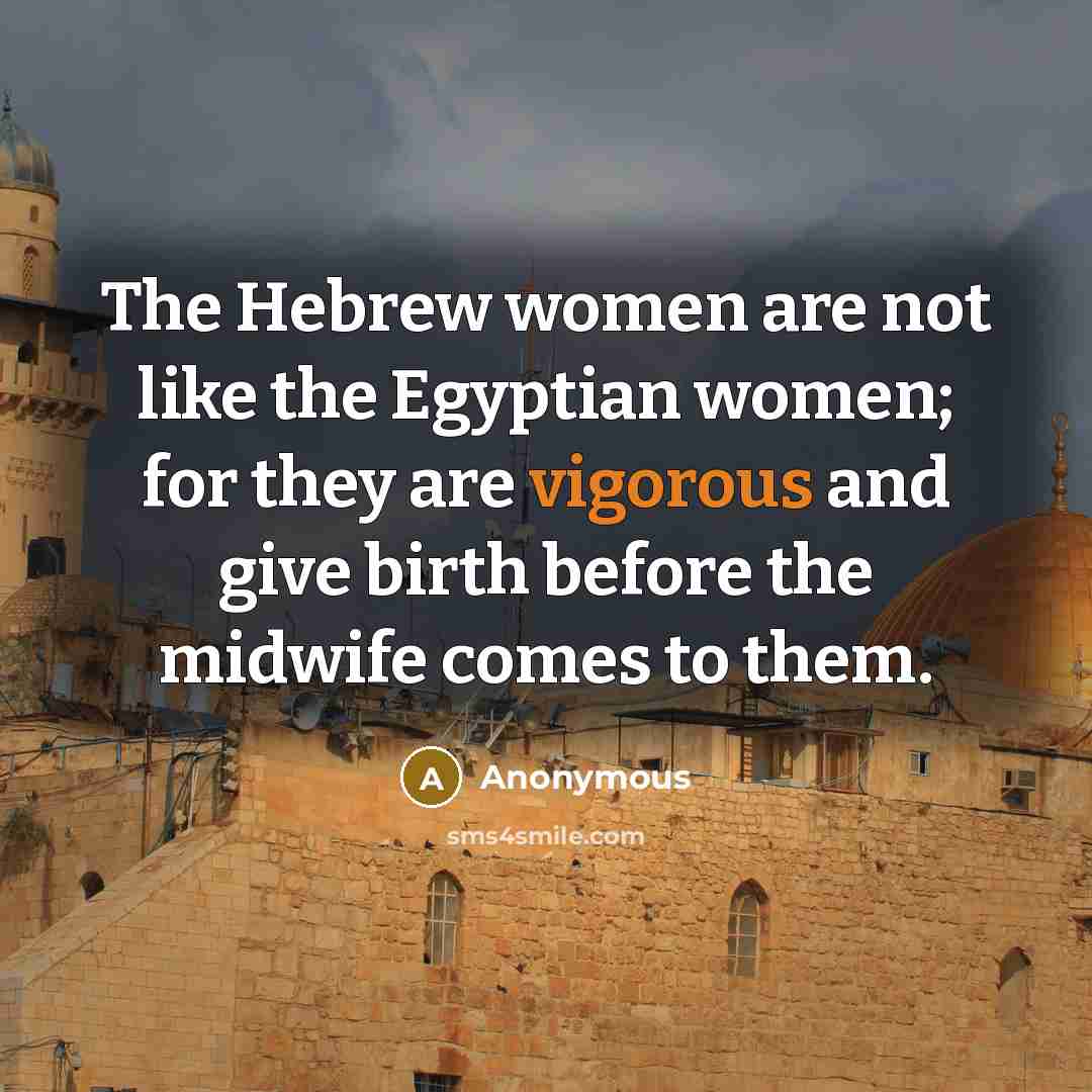 “The Hebrew women are not like the Egyptian women; for they are vigorous and give birth before the midwife comes to them.” quote by Anonymous