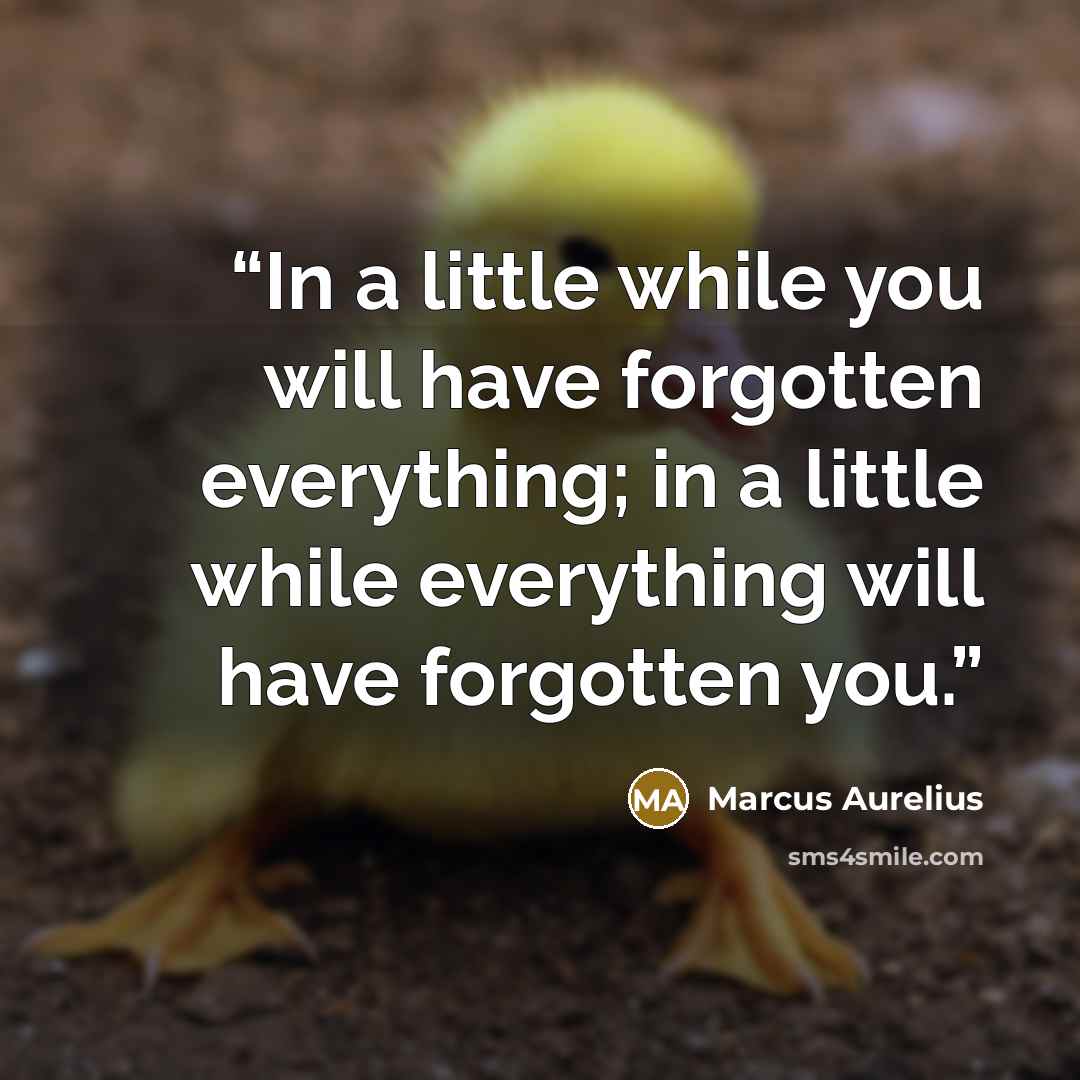 “In a little while you will have forgotten everything; in a little while everything will have forgotten you.” quote by Marcus Aurelius