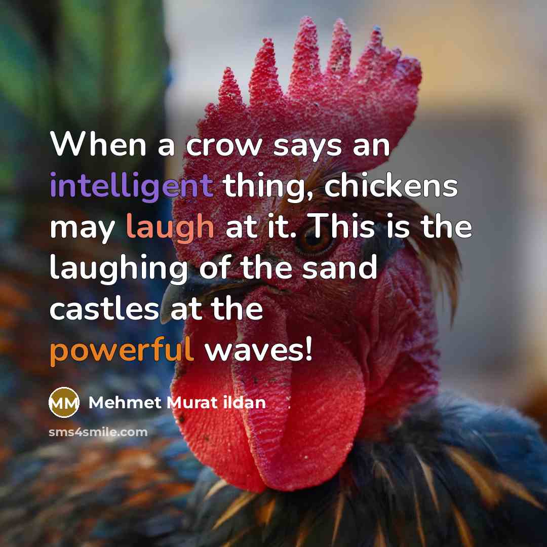 “When a crow says an intelligent thing, chickens may laugh at it. This is the laughing of the sand castles at the powerful waves!” quote by Mehmet Murat Ildan