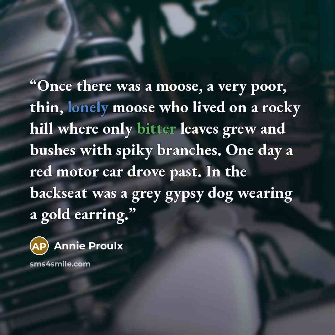 “Once there was a moose, a very poor, thin, lonely moose who lived on a rocky hill where only bitter leaves grew and bushes with spiky branches. One day a red motor car drove past. In the backseat was a grey gypsy dog wearing a gold earring.” quote by Annie Proulx