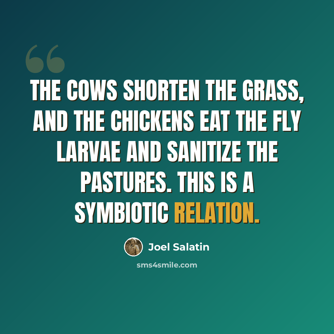 “The cows shorten the grass, and the chickens eat the fly larvae and sanitize the pastures. This is a symbiotic relation.” quote by Joel Salatin