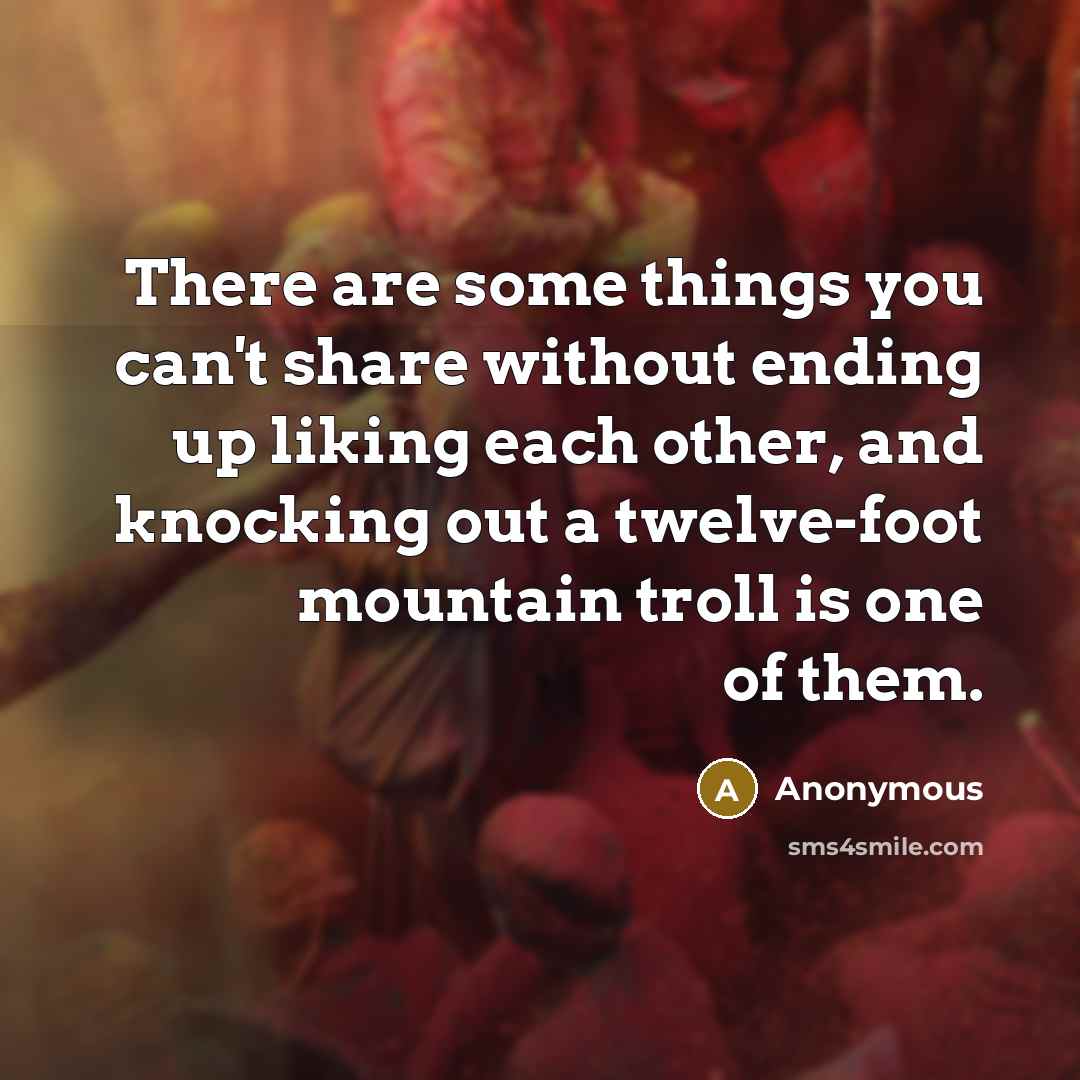 “There are some things you can't share without ending up liking each other, and knocking out a twelve-foot mountain troll is one of them.” quote by Anonymous