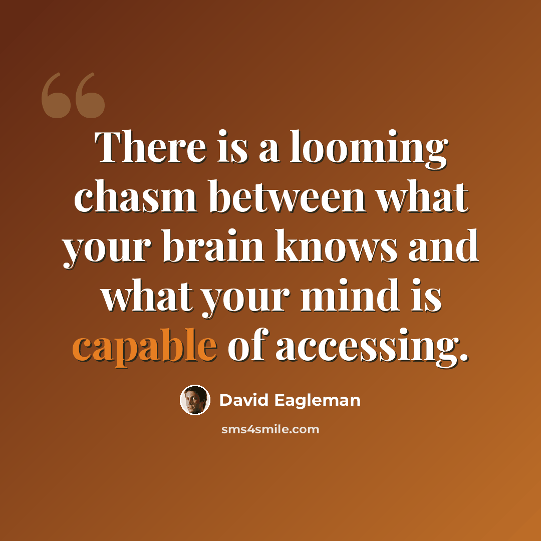 “There is a looming chasm between what your brain knows and what your mind is capable of accessing.” quote by David Eagleman