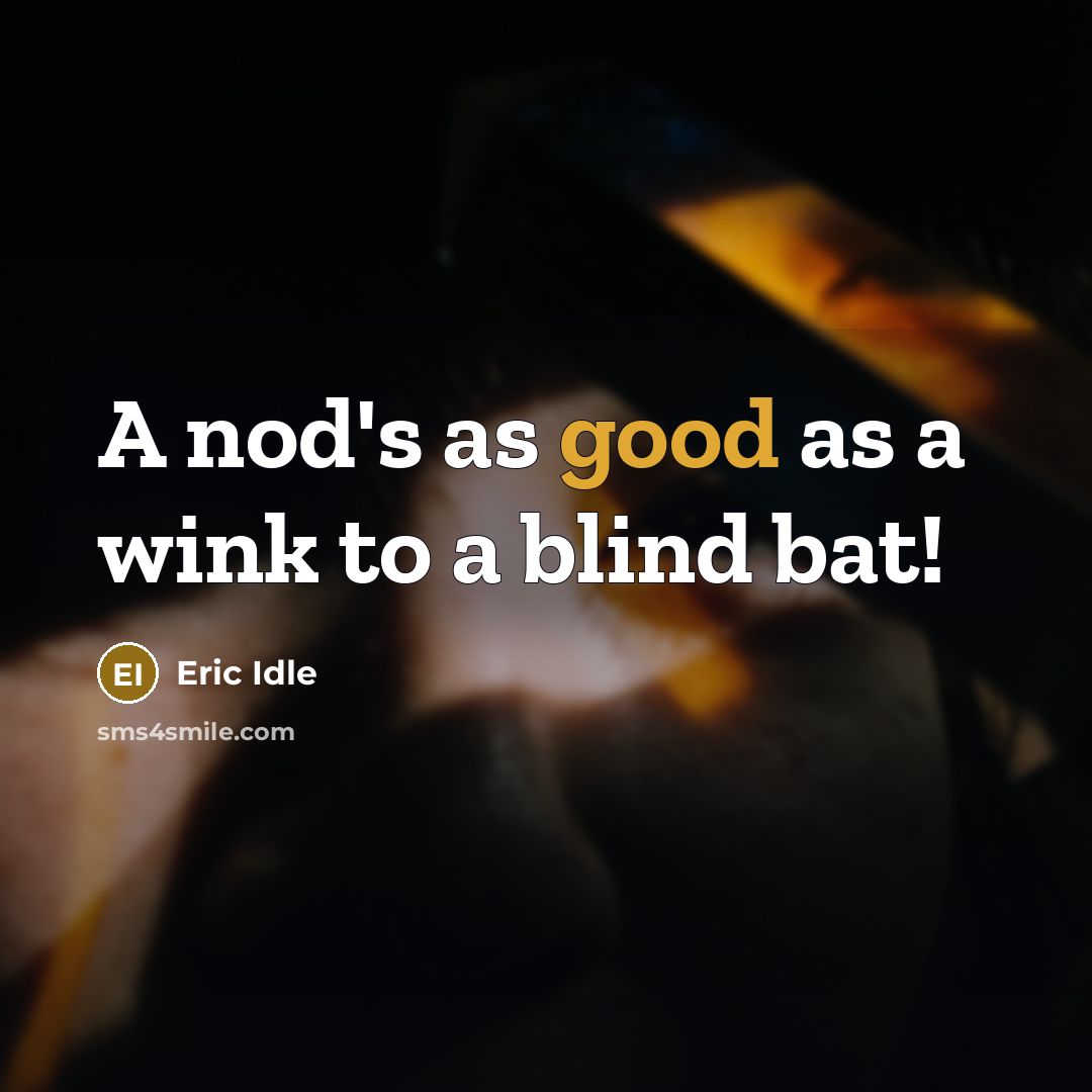 “A nod's as good as a wink to a blind bat!” quote by Eric Idle