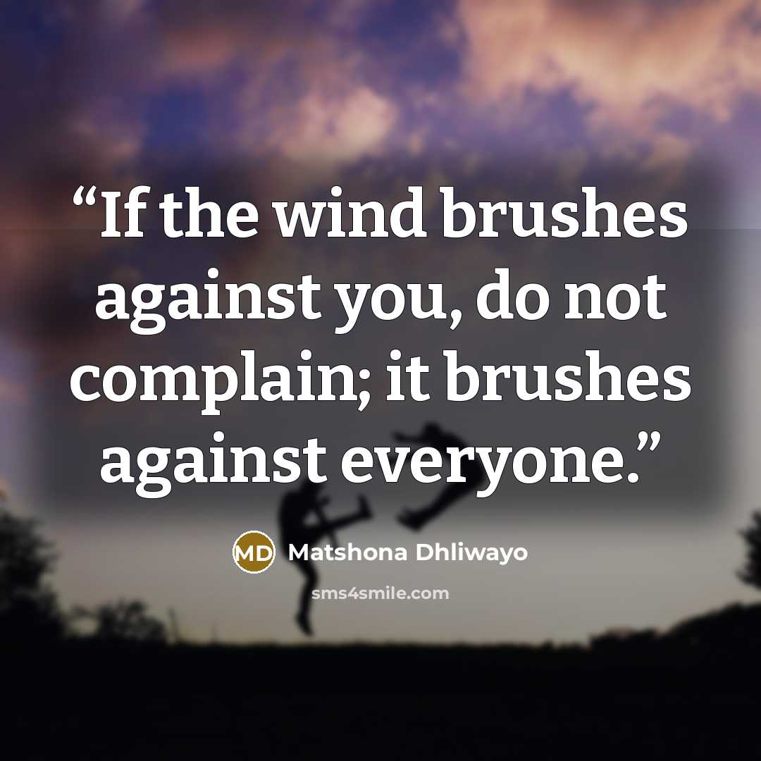 “If the wind brushes against you, do not complain; it brushes against everyone.” quote by Matshona Dhliwayo