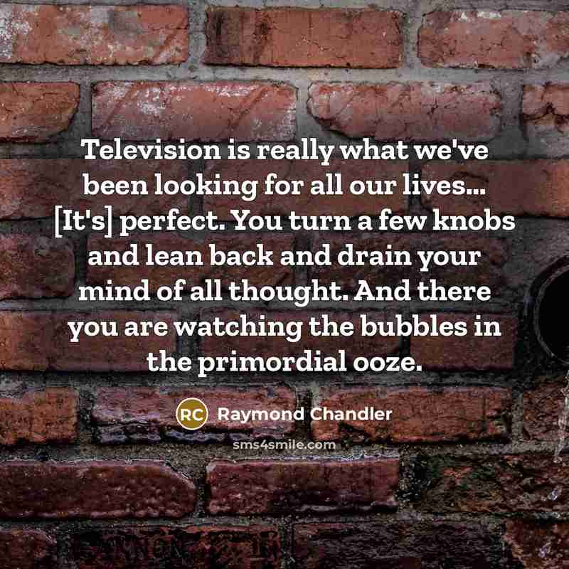 “Television is really what we've been looking for all our lives… [It's] perfect. You turn a few knobs and lean back and drain your mind of all thought. And there you are watching the bubbles in the primordial ooze.” quote by Raymond Chandler