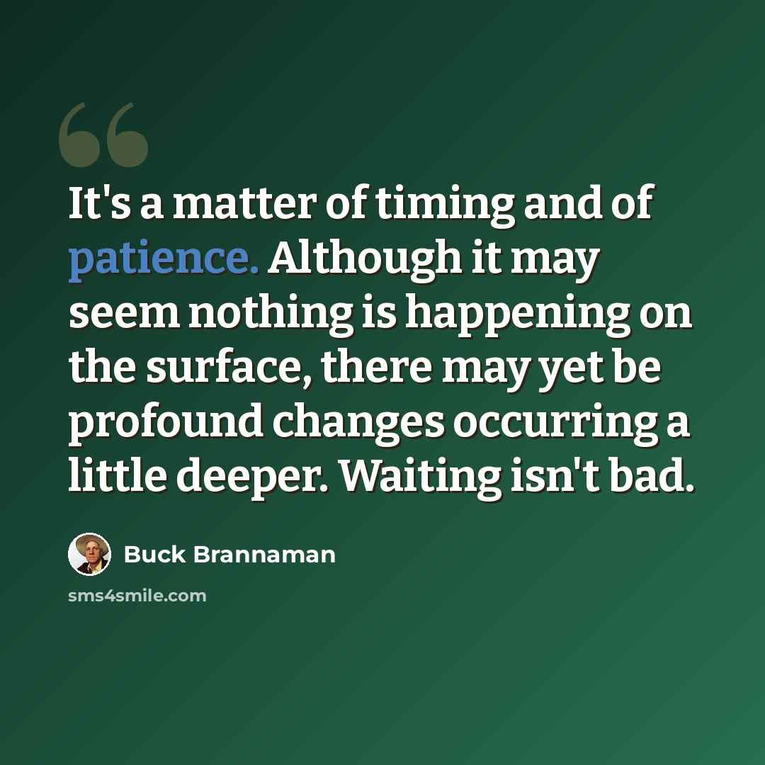 “It's a matter of timing and of patience. Although it may seem nothing is happening on the surface, there may yet be profound changes occurring a little deeper. Waiting isn't bad.” quote by Buck Brannaman