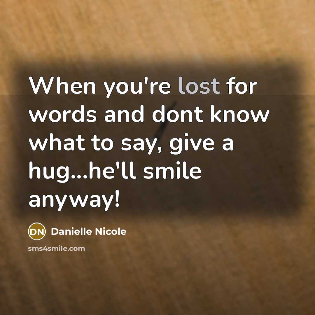 “When you're lost for words and dont know what to say, give a hug...he'll smile anyway!” quote by Danielle Nicole
