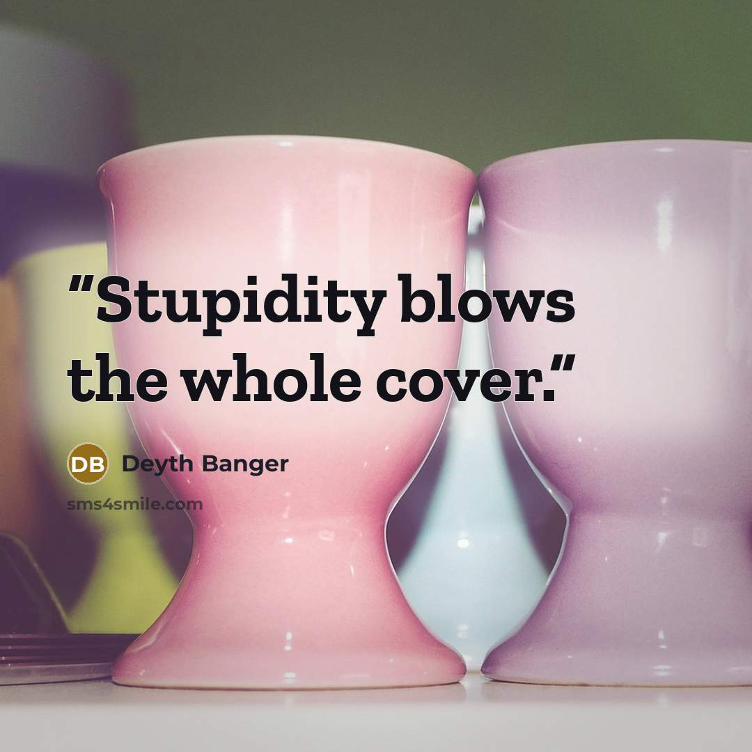 “Stupidity blows the whole cover.” quote by Deyth Banger