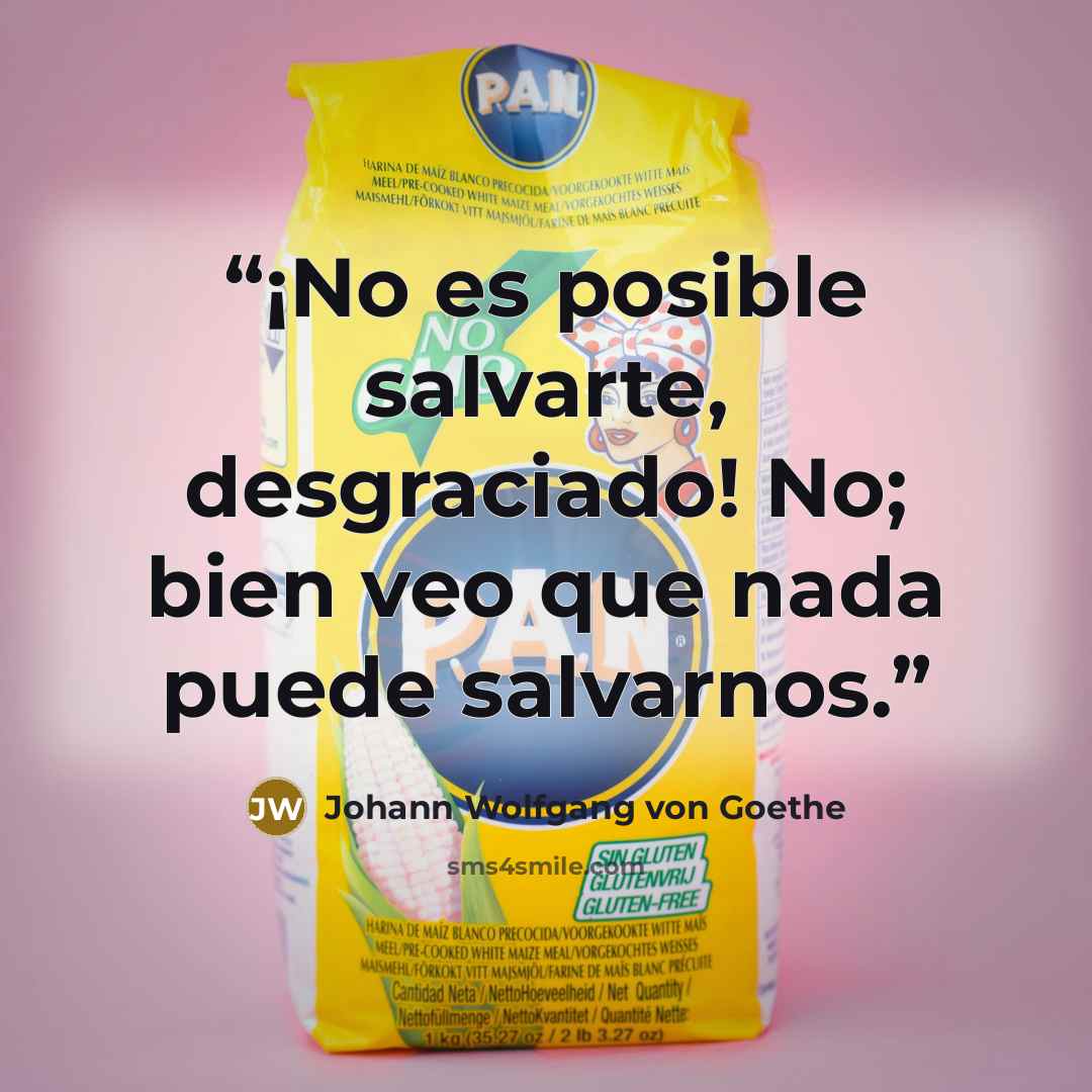 “¡No es posible salvarte, desgraciado! No; bien veo que nada puede salvarnos.” quote by Johann Wolfgang von Goethe