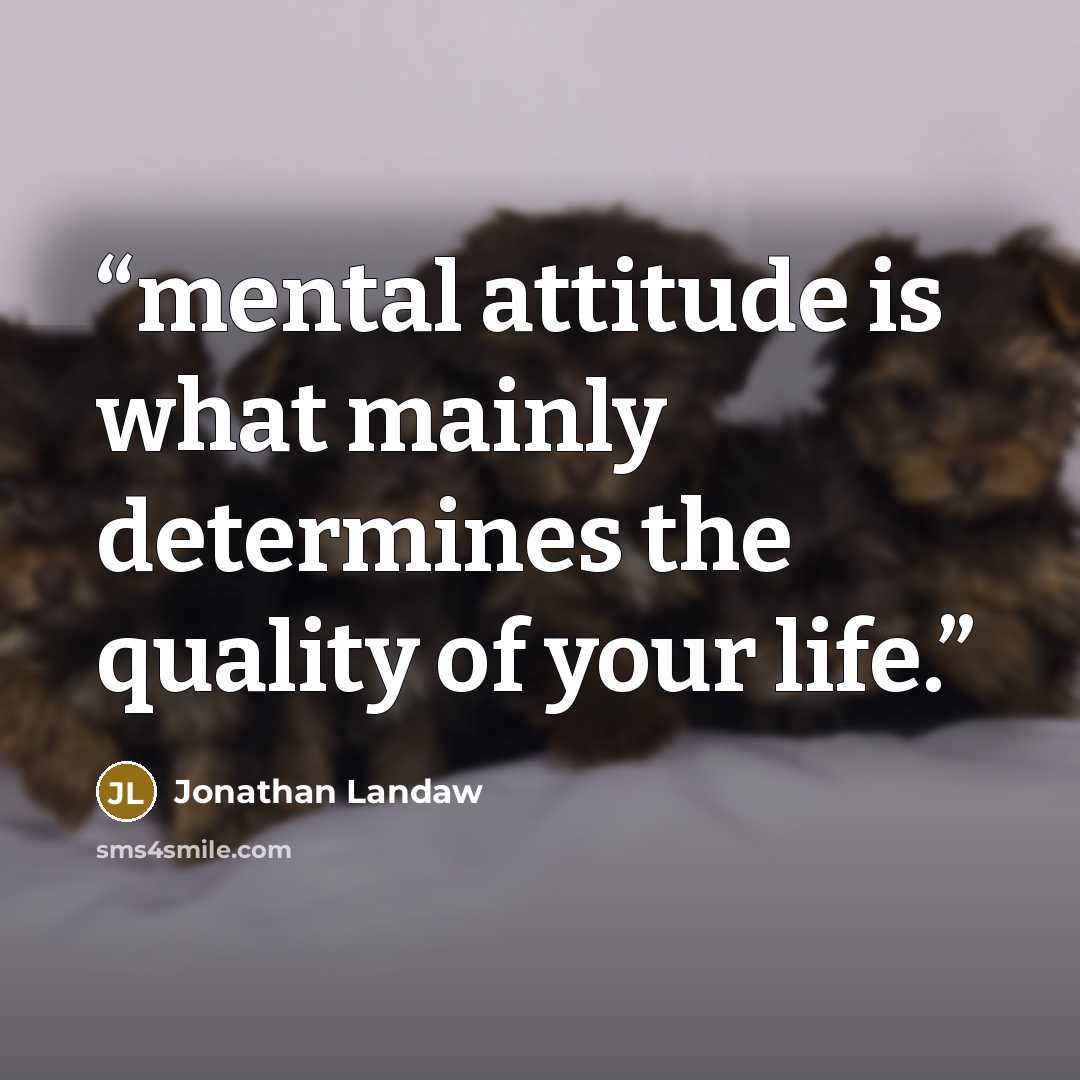 “mental attitude is what mainly determines the quality of your life.” quote by Jonathan Landaw