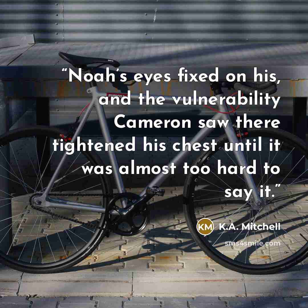 “Noah’s eyes fixed on his, and the vulnerability Cameron saw there tightened his chest until it was almost too hard to say it.” quote by K.A. Mitchell