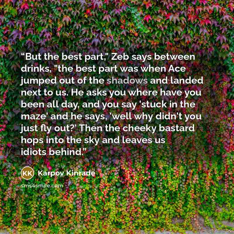 “But the best part," Zeb says between drinks, "the best part was when Ace jumped out of the shadows and landed next to us. He asks you where have you been all day, and you say 'stuck in the maze' and he says, 'well why didn't you just fly out?' Then the cheeky bastard hops into the sky and leaves…” quote by Karpov Kinrade