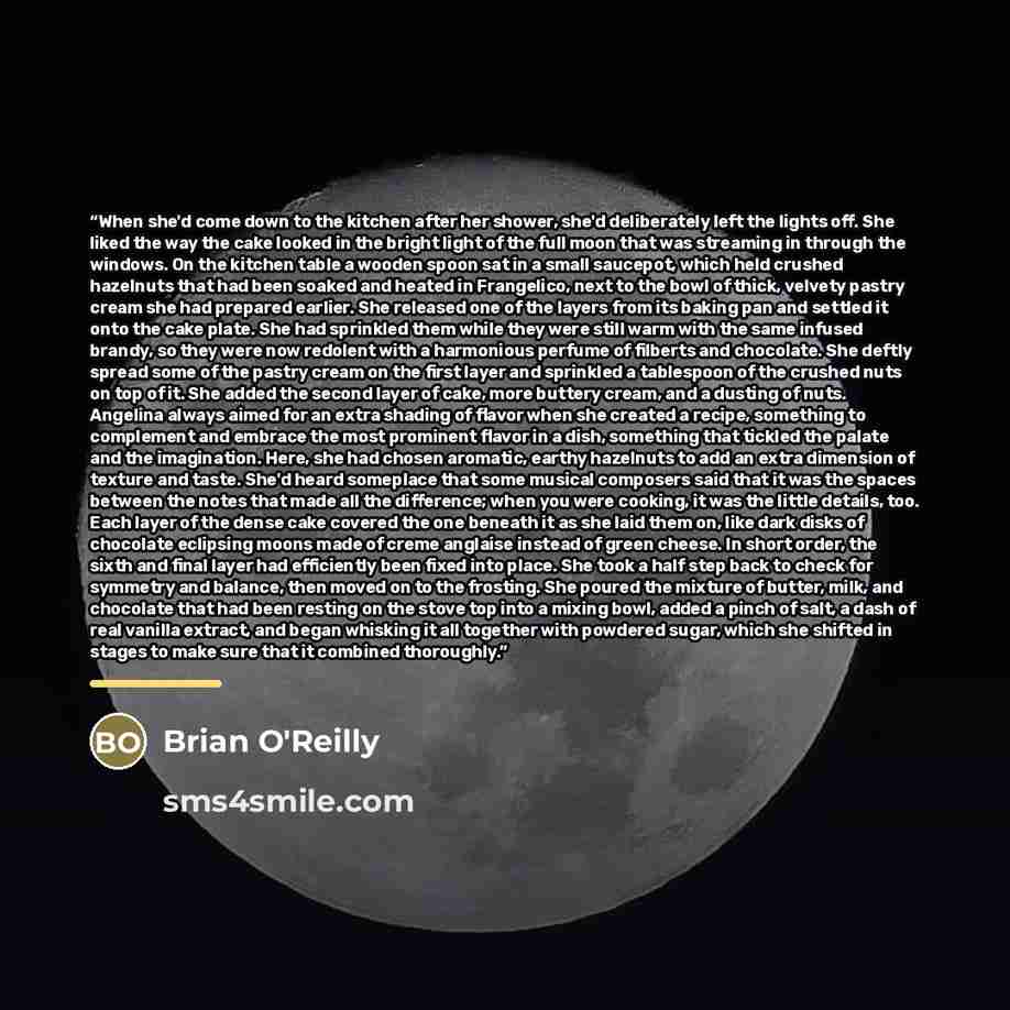 “When she'd come down to the kitchen after her shower, she'd deliberately left the lights off. She liked the way the cake looked in the bright light of the full moon that was streaming in through the windows. On the kitchen table a wooden spoon sat in a small saucepot, which held crushed hazelnuts…” quote by Brian O'Reilly