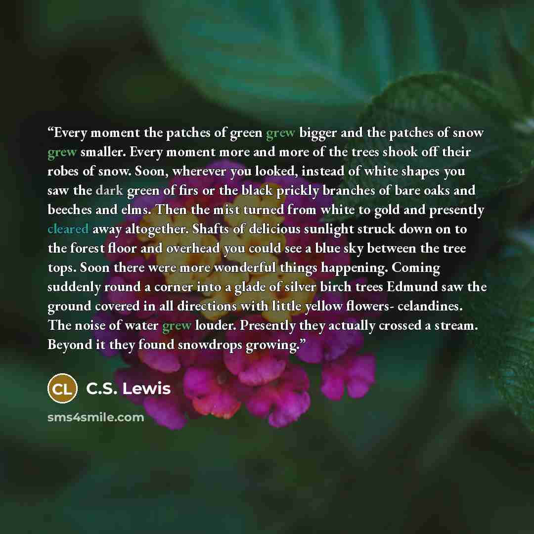 “Every moment the patches of green grew bigger and the patches of snow grew smaller. Every moment more and more of the trees shook off their robes of snow. Soon, wherever you looked, instead of white shapes you saw the dark green of firs or the black prickly branches of bare oaks and beeches and…” quote by C.S. Lewis
