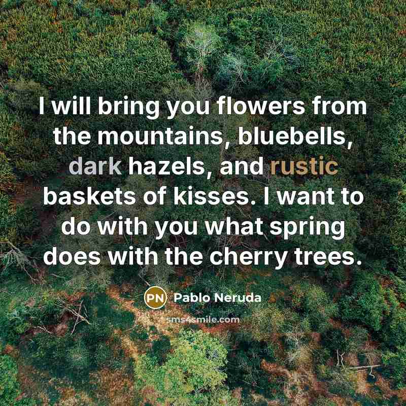 “I will bring you flowers from the mountains, bluebells, dark hazels, and rustic baskets of kisses. I want to do with you what spring does with the cherry trees.” quote by Pablo Neruda