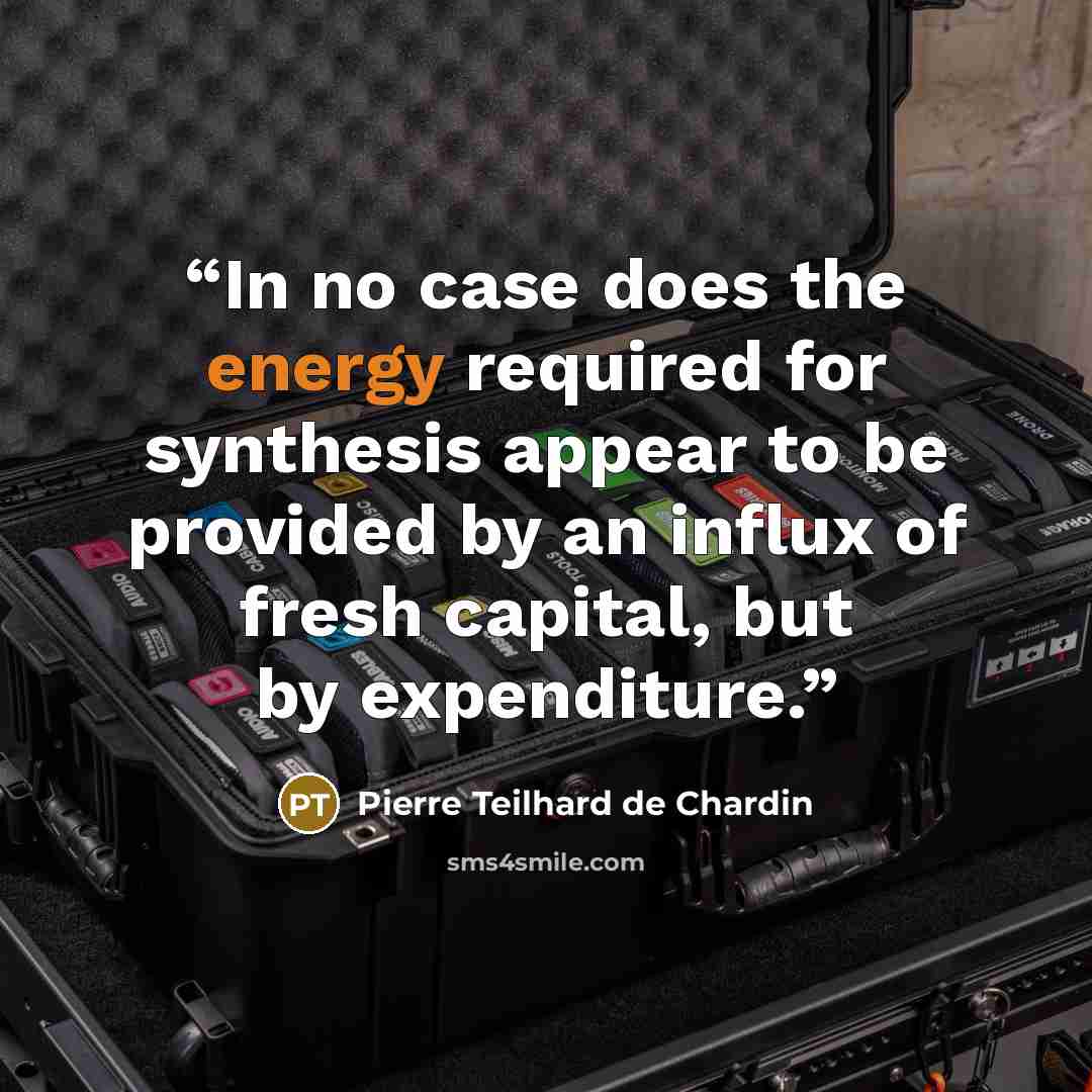 “In no case does the energy required for synthesis appear to be provided by an influx of fresh capital, but by expenditure.” quote by Pierre Teilhard de Chardin