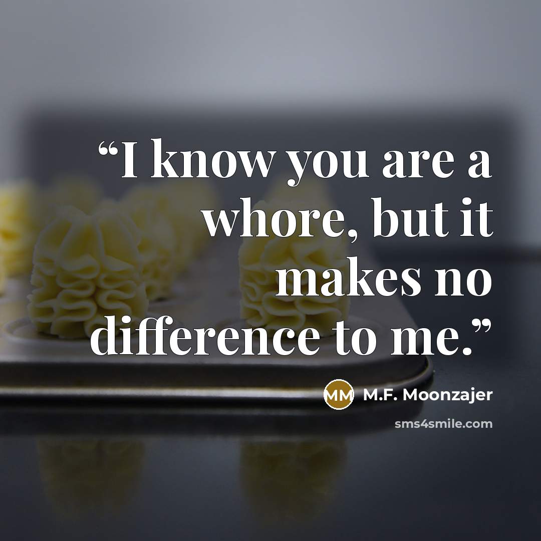 “I know you are a whore, but it makes no difference to me.” quote by M.F. Moonzajer