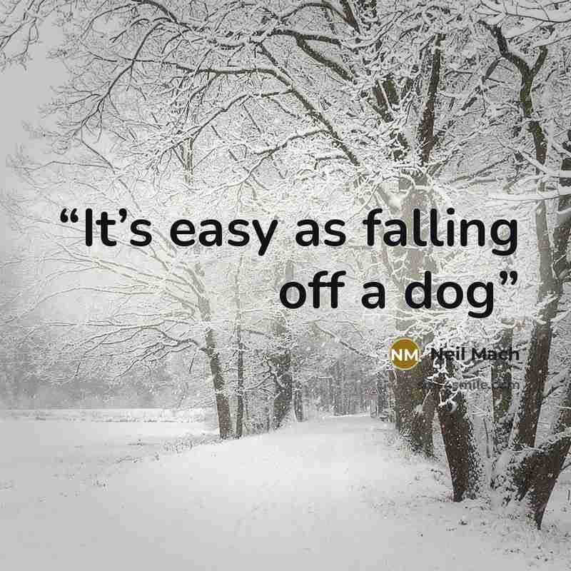 “It’s easy as falling off a dog” quote by Neil Mach