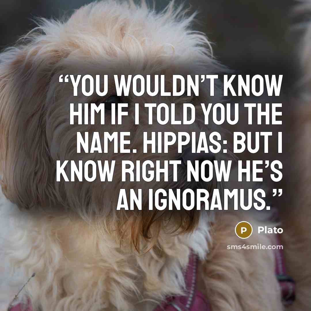 “You wouldn’t know him if I told you the name. HIPPIAS: But I know right now he’s an ignoramus.” quote by Plato