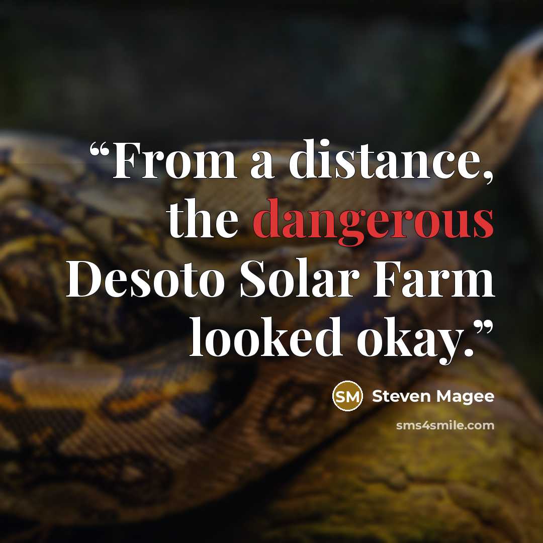 “From a distance, the dangerous Desoto Solar Farm looked okay.” quote by Steven Magee