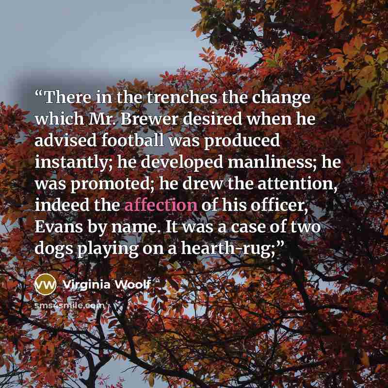 “There in the trenches the change which Mr. Brewer desired when he advised football was produced instantly; he developed manliness; he was promoted; he drew the attention, indeed the affection of his officer, Evans by name. It was a case of two dogs playing on a hearth-rug;” quote by Virginia Woolf