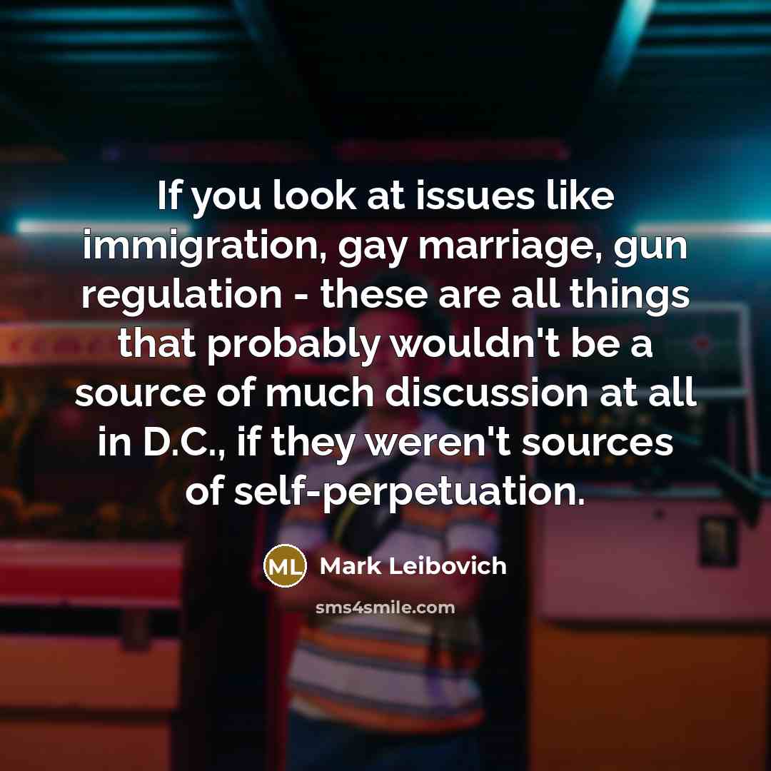 “If you look at issues like immigration, gay marriage, gun regulation - these are all things that probably wouldn't be a source of much discussion at all in D.C., if they weren't sources of self-perpetuation.” quote by Mark Leibovich