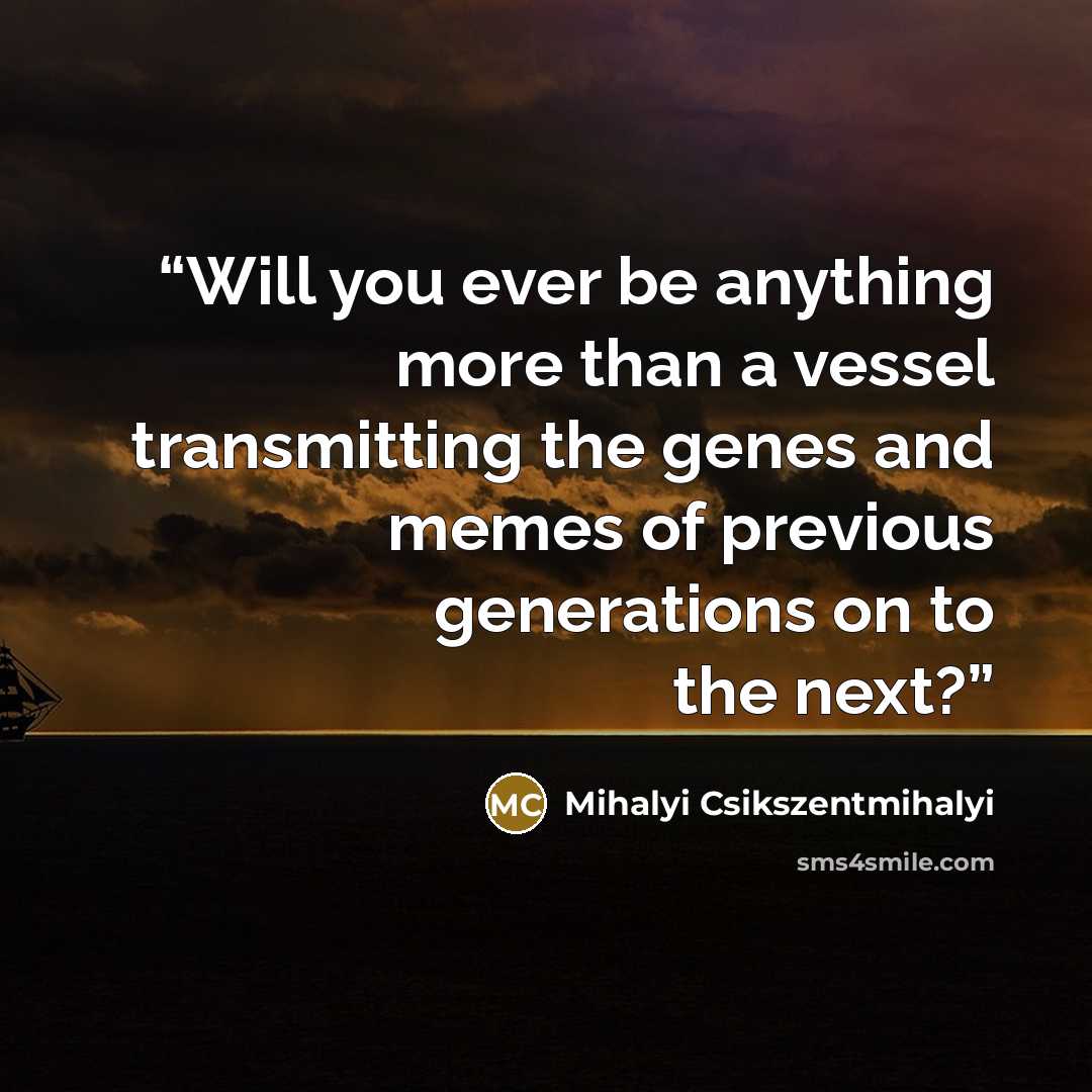 “Will you ever be anything more than a vessel transmitting the genes and memes of previous generations on to the next?” quote by Mihalyi Csikszentmihalyi