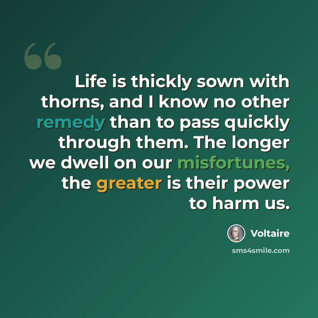 “Life is thickly sown with thorns, and I know no other remedy than to pass quickly through them. The longer we dwell on our misfortunes, the greater is their power to harm us.” quote by Voltaire