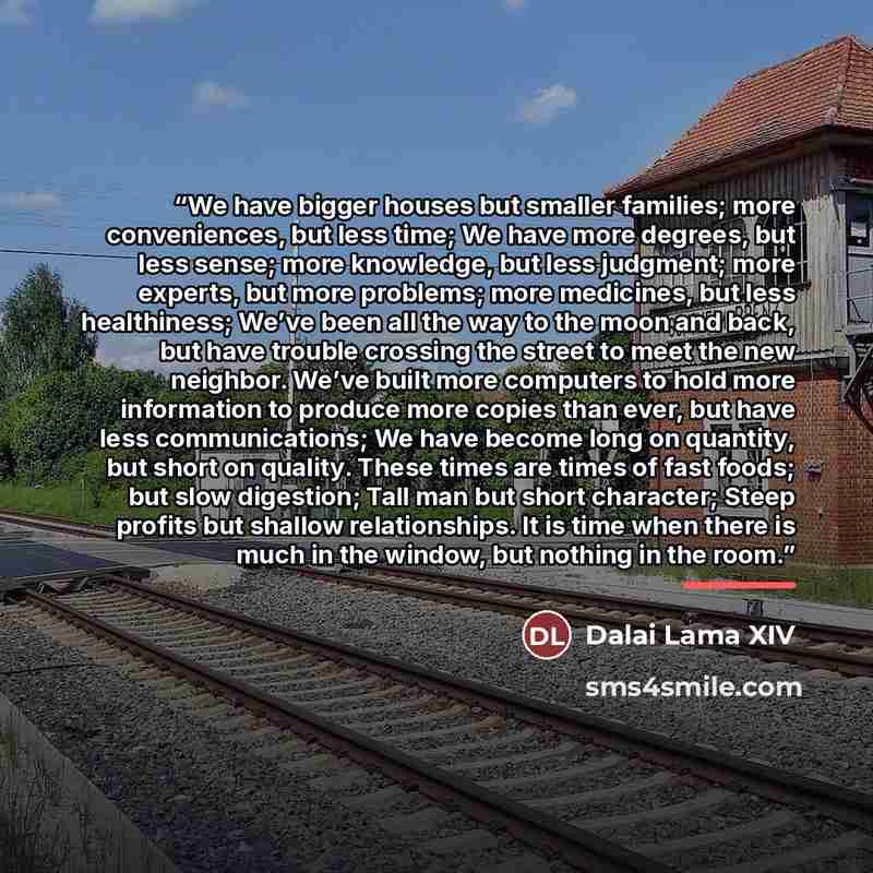 “We have bigger houses but smaller families; more conveniences, but less time; We have more degrees, but less sense; more knowledge, but less judgment; more experts, but more problems; more medicines, but less healthiness; We’ve been all the way to the moon and back, but have trouble crossing the…” quote by Dalai Lama XIV