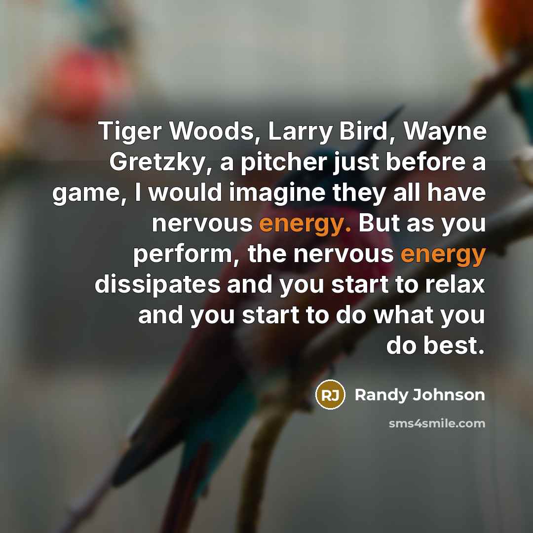 “Tiger Woods, Larry Bird, Wayne Gretzky, a pitcher just before a game, I would imagine they all have nervous energy. But as you perform, the nervous energy dissipates and you start to relax and you start to do what you do best.” quote by Randy Johnson