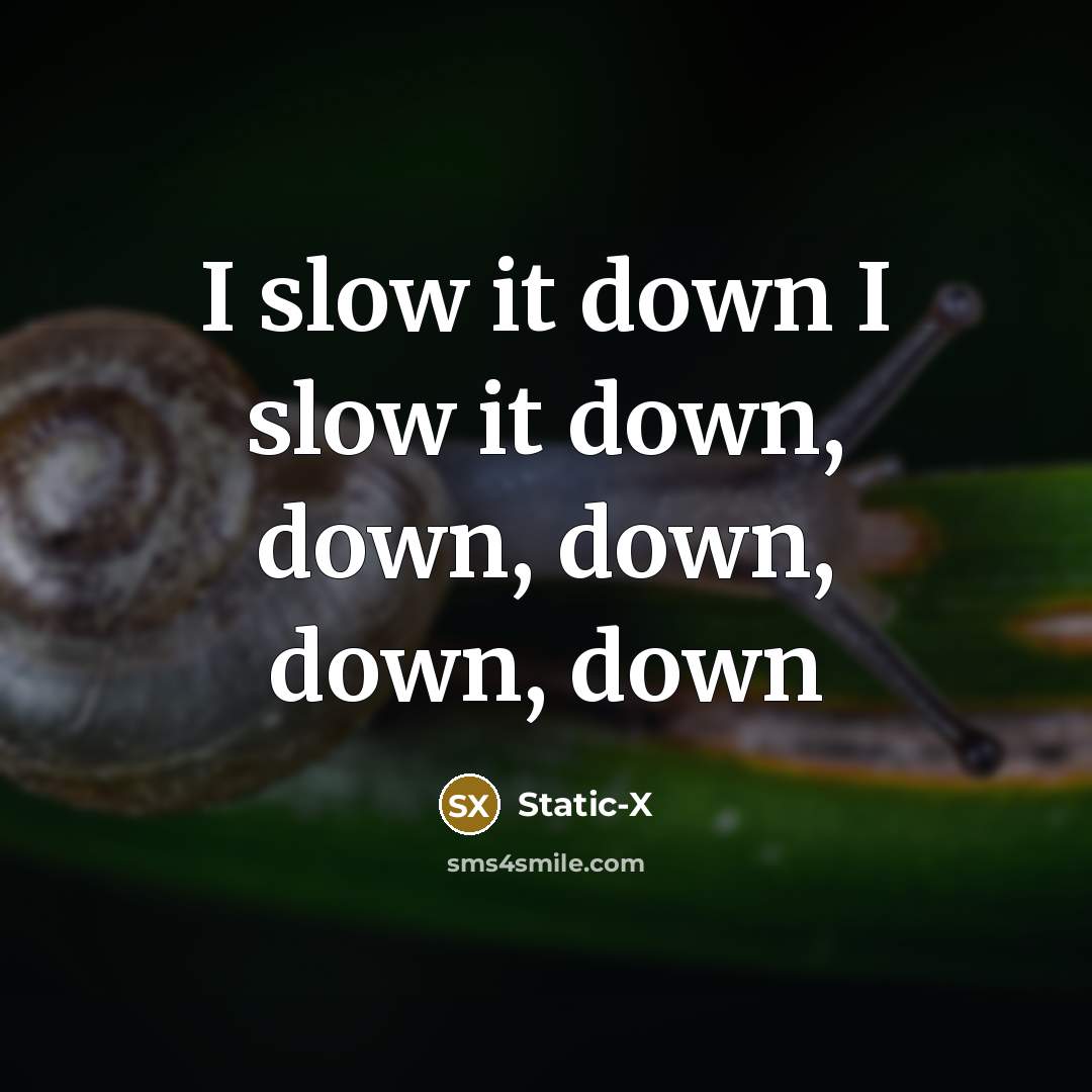 “I slow it down I slow it down, down, down, down, down” quote by Static-x
