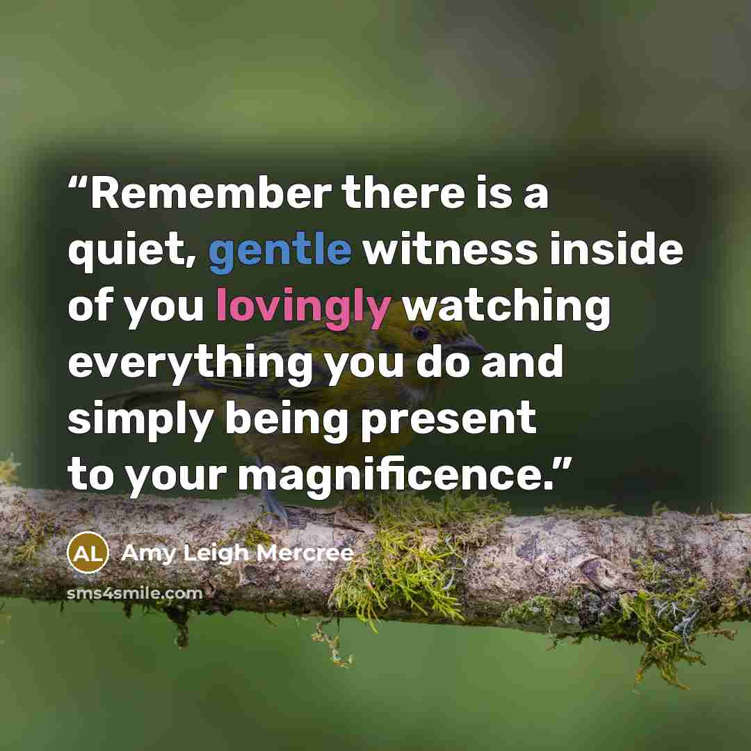 “Remember there is a quiet, gentle witness inside of you lovingly watching everything you do and simply being present to your magnificence.” quote by Amy Leigh Mercree