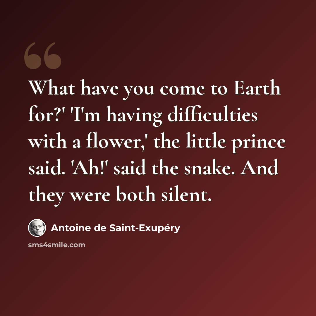 “What have you come to Earth for?' 'I'm having difficulties with a flower,' the little prince said. 'Ah!' said the snake. And they were both silent.” quote by Antoine de Saint-Exupery