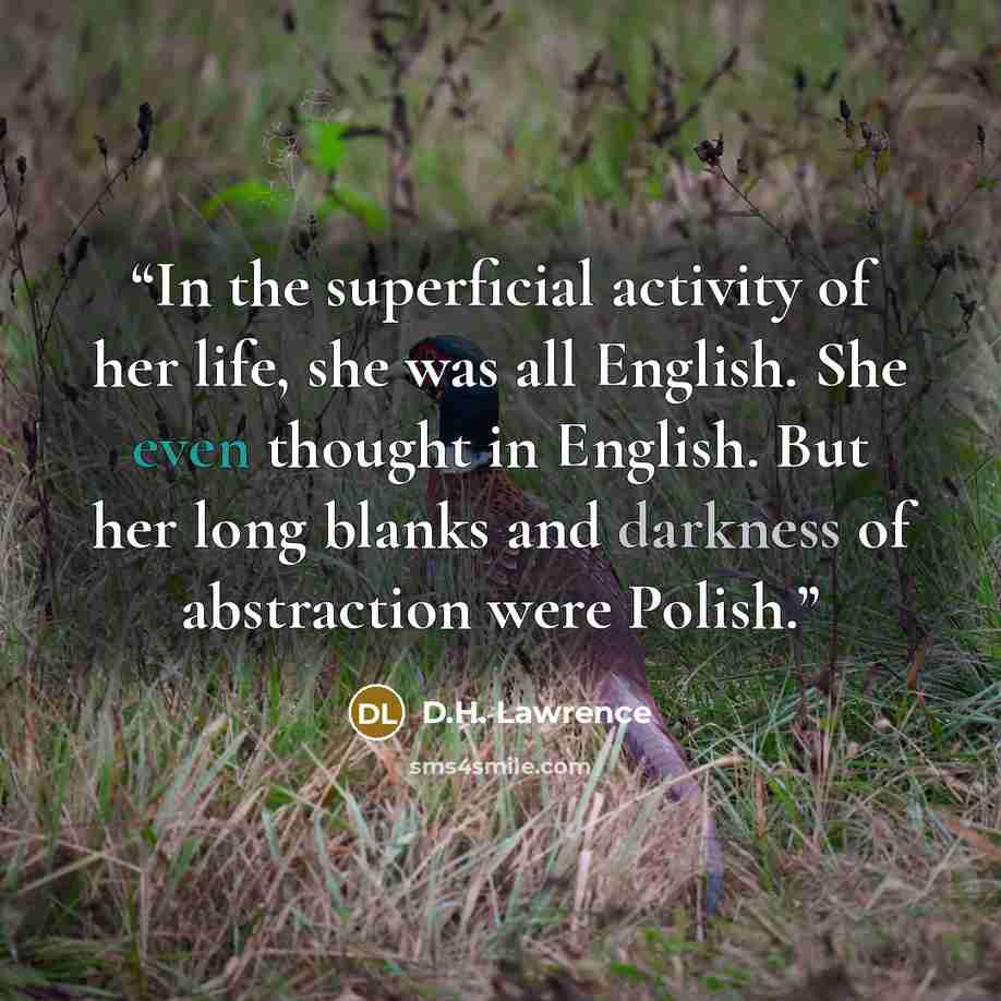 “In the superficial activity of her life, she was all English. She even thought in English. But her long blanks and darkness of abstraction were Polish.” quote by D.H. Lawrence