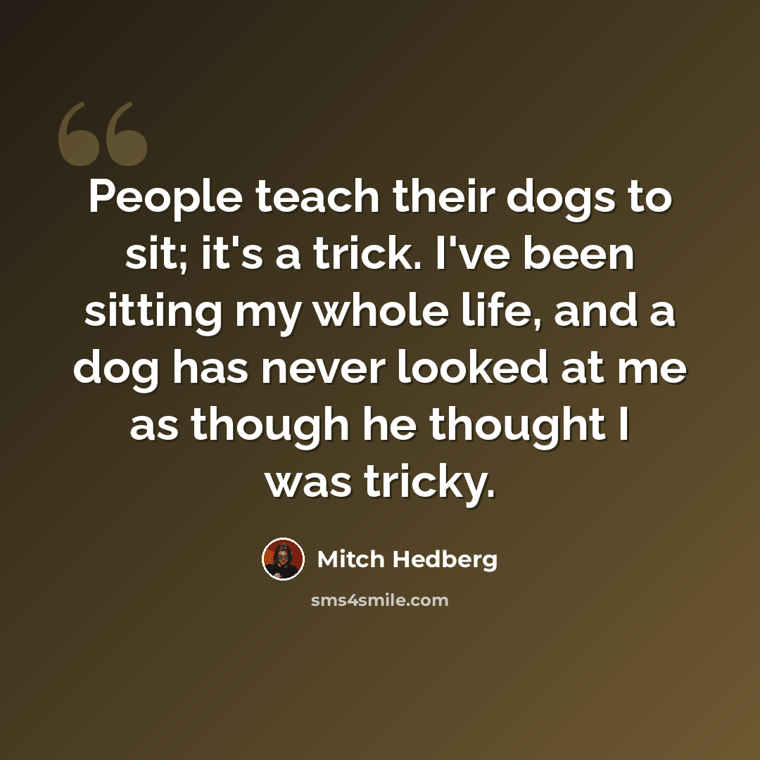 “People teach their dogs to sit; it's a trick. I've been sitting my whole life, and a dog has never looked at me as though he thought I was tricky.” quote by Mitch Hedberg