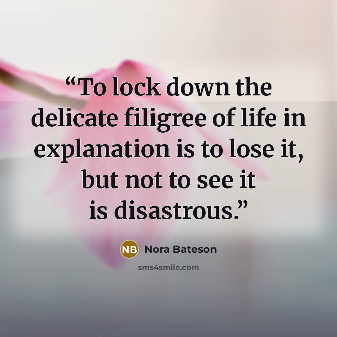 “To lock down the delicate filigree of life in explanation is to lose it, but not to see it is disastrous.” quote by Nora Bateson